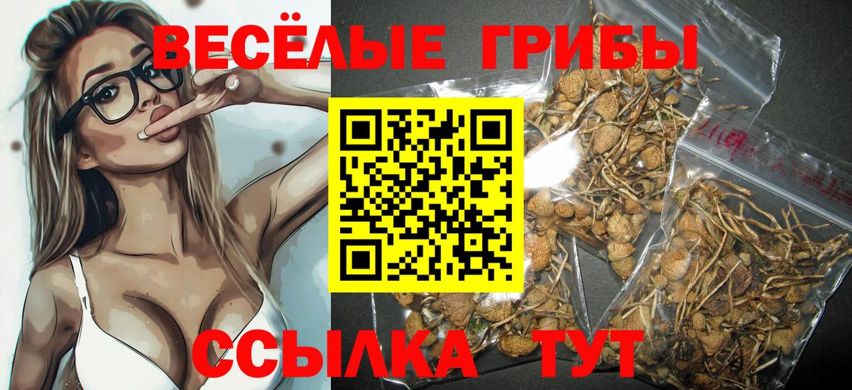 Псилоцибиновые грибы мицелий  Вход с VPN  Кимовск 