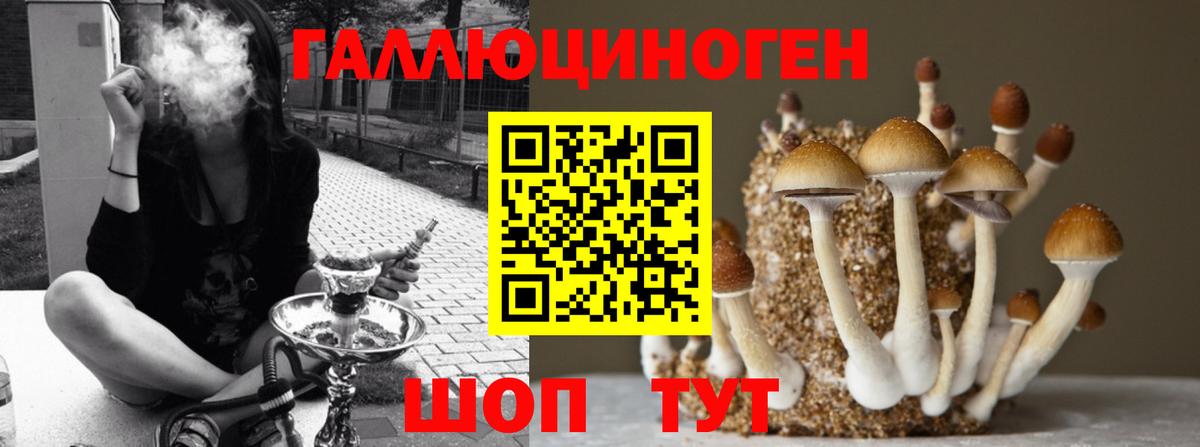 Галлюциногенные грибы Psilocybe Кимовск